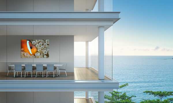 Modern ocean front home with Clownfish in Bubble-Tipped Anemone 