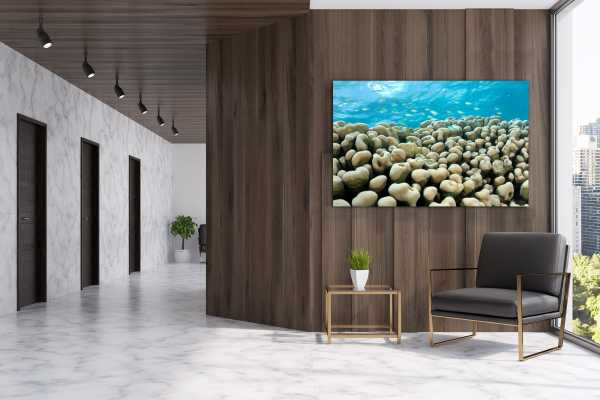 Office hallway with Green Chromis on Coral shown on wall